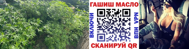 Купить где  Прохладный  ТГК THC oil 