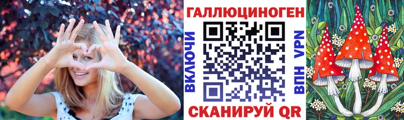 Купить  Прохладный  Псилоцибиновые грибы мухоморы 